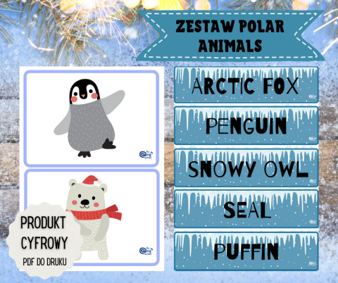 Zestaw Polar Animals + karty pracy w pliku PDF