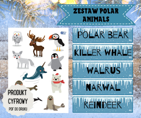 Zestaw Polar Animals + karty pracy w pliku PDF