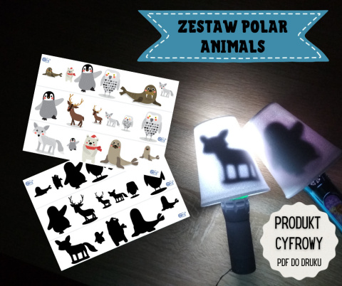 Zestaw Polar Animals + karty pracy w pliku PDF