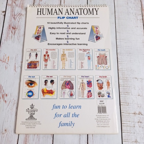 THE HUMAN Anatomy Flipcharts XL plakaty - CLIL, dwujęzyczność (tylko wysyłka InPost)