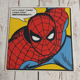 Obraz Spiderman - With Great Power Comes Great Responsibility 30x30cm