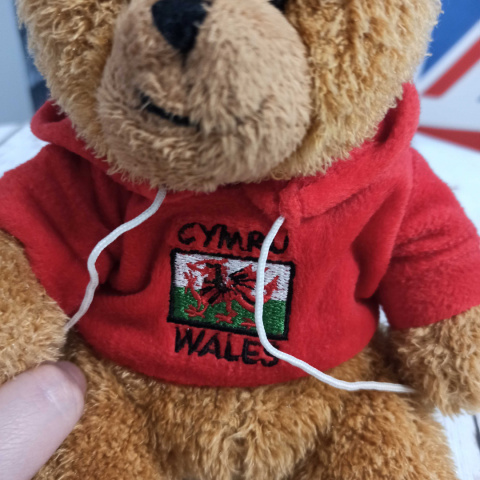 Miś Cymru Wales