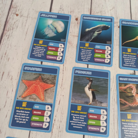 TOP TRUMPS - Under the Sea Zwierzęta Morskie