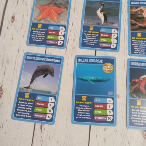 TOP TRUMPS - Under the Sea Zwierzęta Morskie