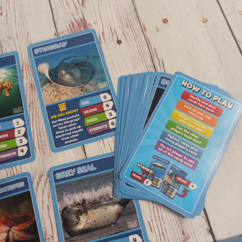 TOP TRUMPS - Under the Sea Zwierzęta Morskie