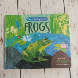 Książka The Life Cycle of Frogs - z klapami i ukrytymi obrazkami NOWA