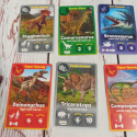 Dino Fact Cards - karty z dinozaurami 4 gry w jednym