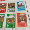 Dino Fact Cards - karty z dinozaurami 4 gry w jednym