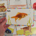 My First Words Picture Cards grube flashcards dla dzieci z pytaniam na odwrocie