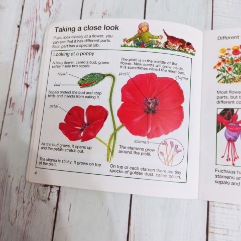 Książka What Makes a Flower Grow? CLIL Książka What Makes a Flower Grow? CLIL