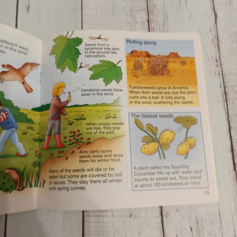 Książka What Makes a Flower Grow? CLIL Książka What Makes a Flower Grow? CLIL