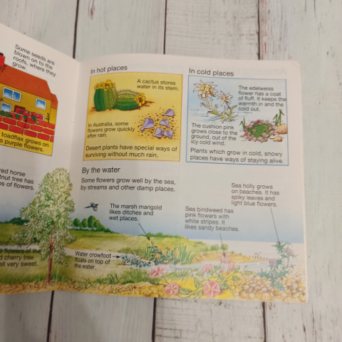 Książka What Makes a Flower Grow? CLIL Książka What Makes a Flower Grow? CLIL