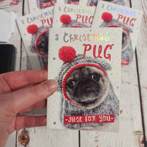 Zestaw 12 świątecznych kartek Christmas Pug NOWY