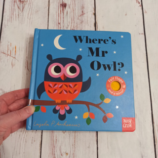 Where's Mr Owl - książeczka sensoryczna