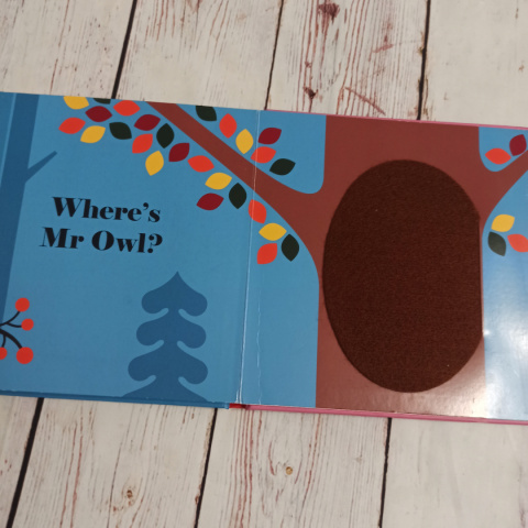 Where's Mr Owl - książeczka sensoryczna