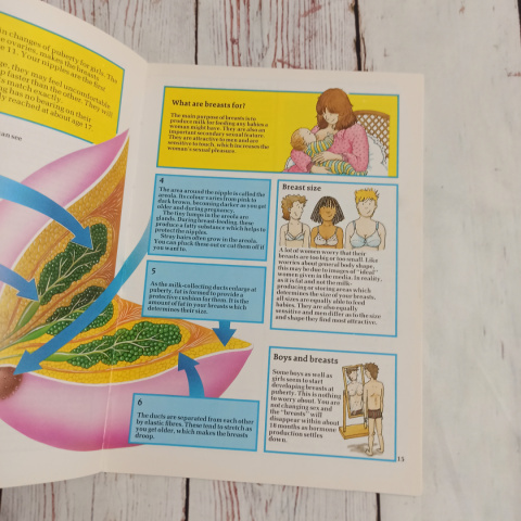 Usborne Facts of Life GROWING UP - CLIL biologia po angielsku