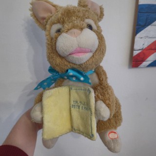 Interaktywny Królik Pluszowy opowiadający bajkę The Tale of Peter Rabbit - mówi po angielsku i się porusza