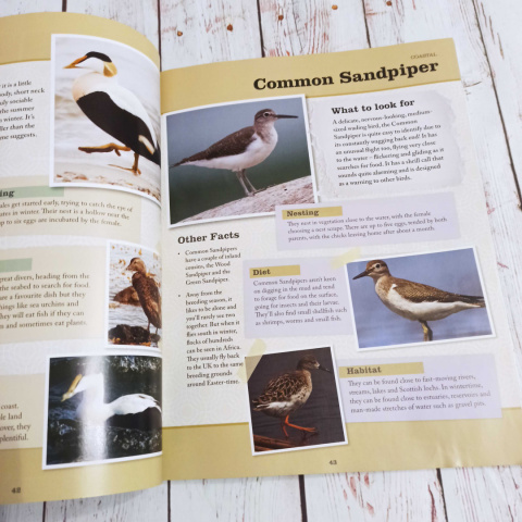 The Ultimate Guide to BRITISH BIRDS