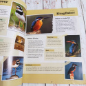 The Ultimate Guide to BRITISH BIRDS