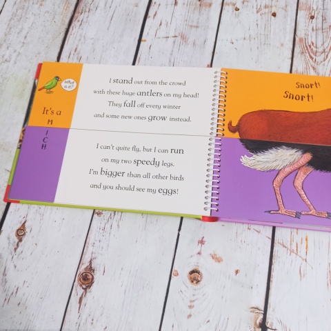 Alex Schefller's - Flip Flap ZOO NOWA