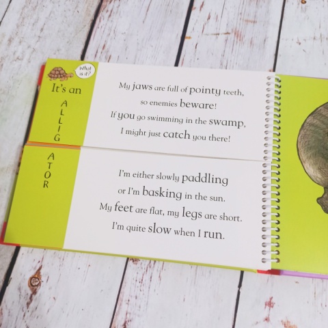 Alex Schefller's - Flip Flap ZOO NOWA