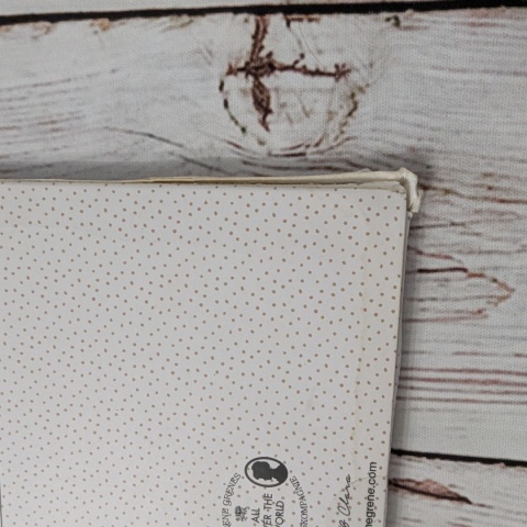 Find the Differences Cards - Anna & Clara - 18 dużych bajkowych kart na opisywanie różnic