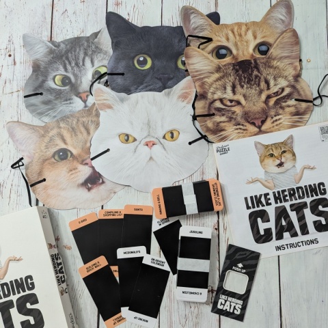 Like Herding Cats - kocia gra po angielsku, pokazywanie i zgadywanie