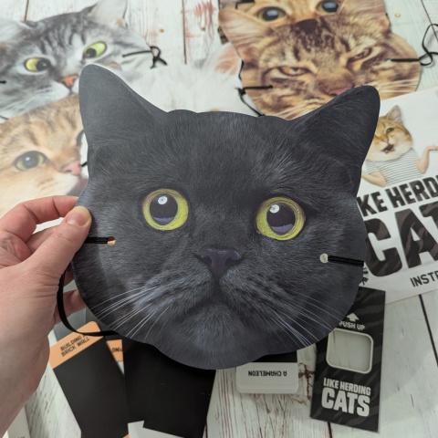 Like Herding Cats - kocia gra po angielsku, pokazywanie i zgadywanie