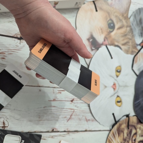 Like Herding Cats - kocia gra po angielsku, pokazywanie i zgadywanie