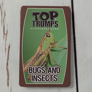 TOP TRUMPS - Bugs and Insects - bez pudełka