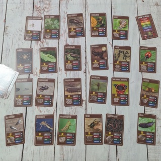 TOP TRUMPS - Bugs and Insects - bez pudełka