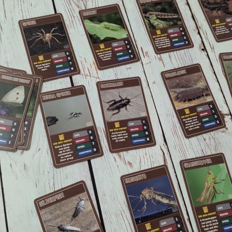 TOP TRUMPS - Bugs and Insects - bez pudełka