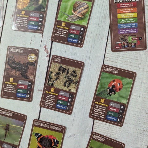 TOP TRUMPS - Bugs and Insects - bez pudełka
