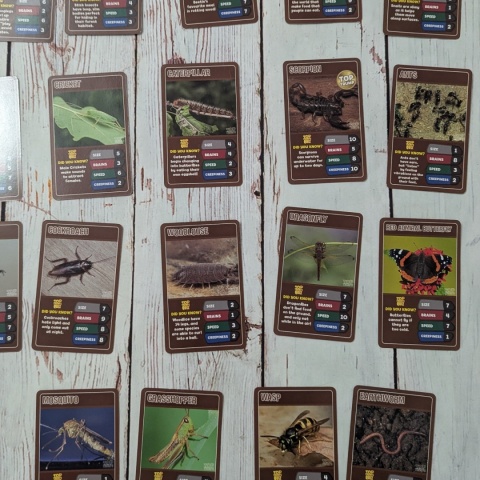 TOP TRUMPS - Bugs and Insects - bez pudełka