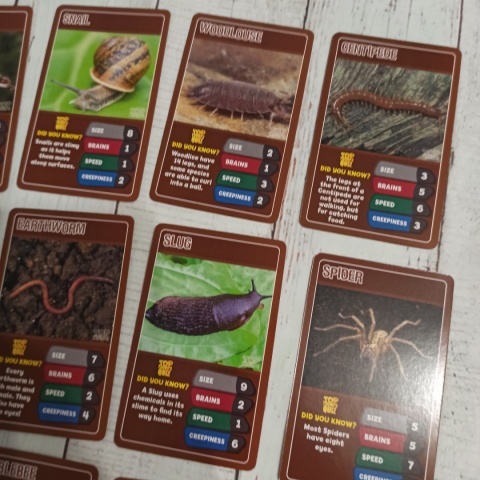 TOP TRUMPS - Bugs and Insects - bez pudełka