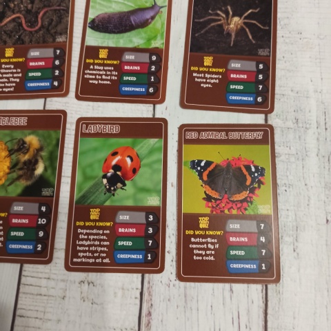 TOP TRUMPS - Bugs and Insects - bez pudełka