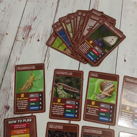 TOP TRUMPS - Bugs and Insects - bez pudełka