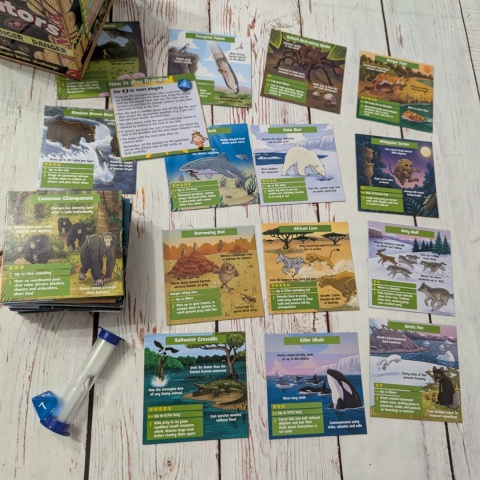 Brainbox Predators - gra po angielsku - Najgroźniejsze Zwierzęta