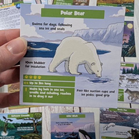 Brainbox Predators - gra po angielsku - Najgroźniejsze Zwierzęta