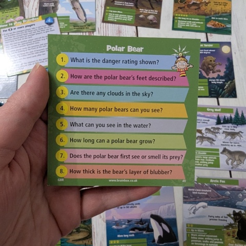 Brainbox Predators - gra po angielsku - Najgroźniejsze Zwierzęta