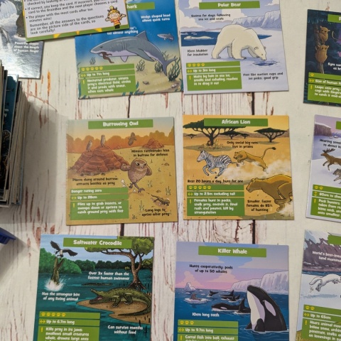 Brainbox Predators - gra po angielsku - Najgroźniejsze Zwierzęta