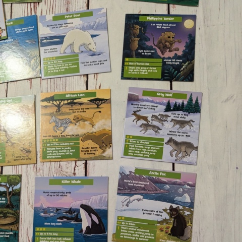 Brainbox Predators - gra po angielsku - Najgroźniejsze Zwierzęta