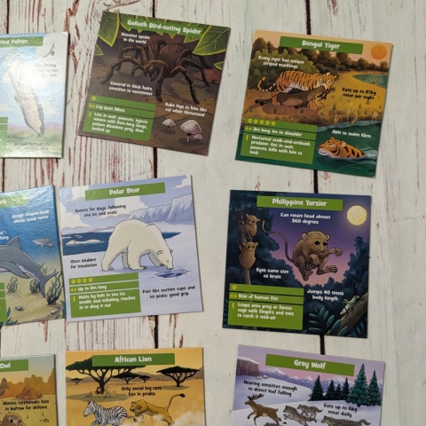 Brainbox Predators - gra po angielsku - Najgroźniejsze Zwierzęta