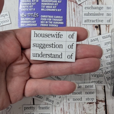 Fridge Poetry - Magnetic Words - Erotic Kit +18 - słownictwo po angielsku dla dorosłych