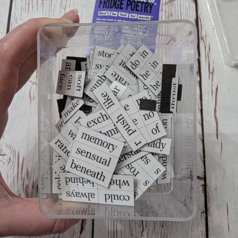 Fridge Poetry - Magnetic Words - Erotic Kit +18 - słownictwo po angielsku dla dorosłych