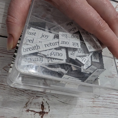 Fridge Poetry - Magnetic Words - Erotic Kit +18 - słownictwo po angielsku dla dorosłych