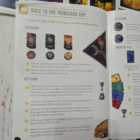 Harry Potter Race to The Triwizard Cup Game - gra po angielsku