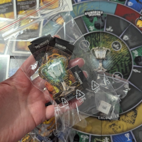 Harry Potter Race to The Triwizard Cup Game - gra po angielsku