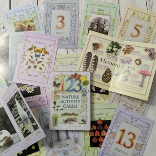 Nature Activity Cards - duże karty edukacyjne przyrodnicze CLIL, rozkładane