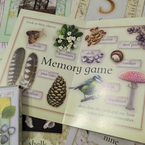 Nature Activity Cards - duże karty edukacyjne przyrodnicze CLIL, rozkładane